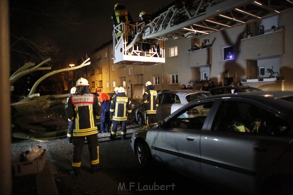 Sturm Baum auf PKW s Koeln Mauenheim A Gruenen Hof P01.JPG